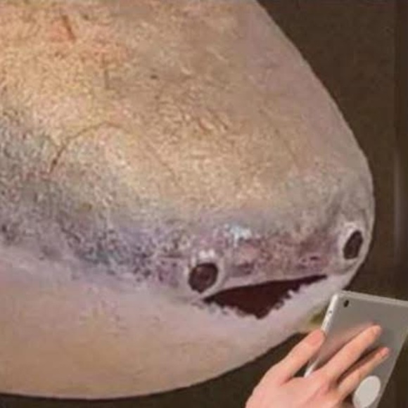 Meet the Posher Other - Meet your Posher,